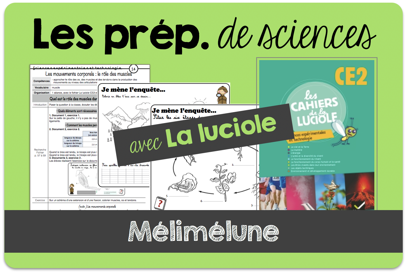 Mes Fiches De Préparation En Sciences - Mélimélune